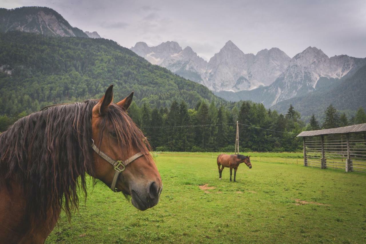 Klass 210 Kranjska Gora Exterior foto